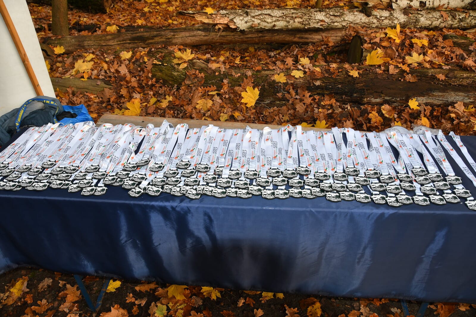 RCT Crosslauf * der Schmalzstullenlauf im Tegeler Forst